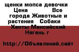 щенки мопса девочки › Цена ­ 25 000 - Все города Животные и растения » Собаки   . Ханты-Мансийский,Нягань г.